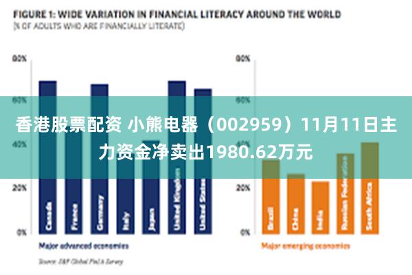 香港股票配资 小熊电器（002959）11月11日主力资金净卖出1980.62万元