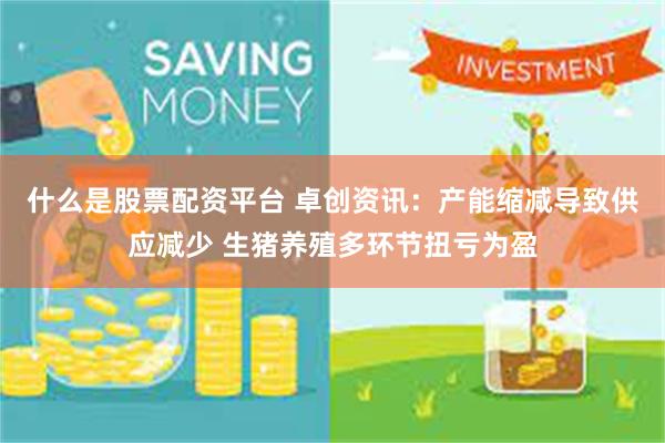 什么是股票配资平台 卓创资讯：产能缩减导致供应减少 生猪养殖多环节扭亏为盈