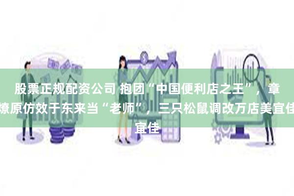 股票正规配资公司 抱团“中国便利店之王”，章燎原仿效于东来当“老师”，三只松鼠调改万店美宜佳