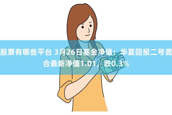 股票有哪些平台 3月26日基金净值：华夏回报二号混合最新净值1.01，跌0.3%
