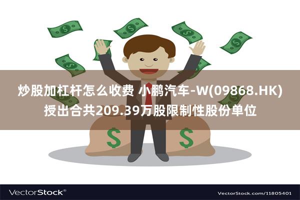 炒股加杠杆怎么收费 小鹏汽车-W(09868.HK)授出合共209.39万股限制性股份单位