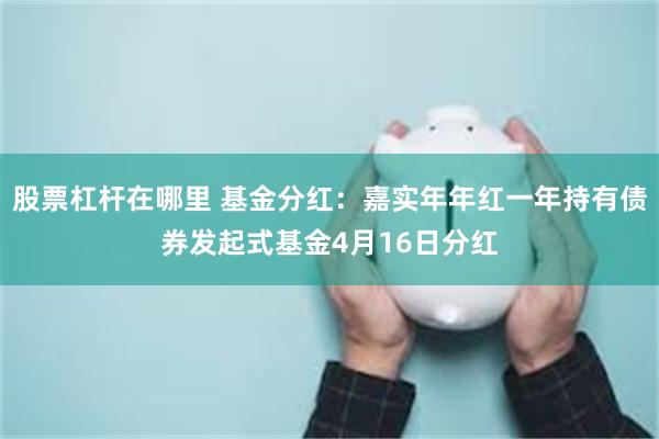 股票杠杆在哪里 基金分红：嘉实年年红一年持有债券发起式基金4月16日分红