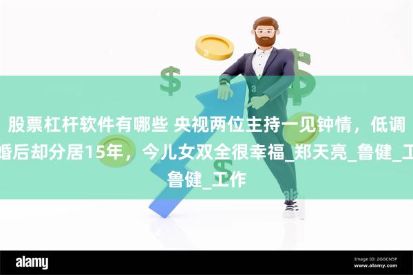 股票杠杆软件有哪些 央视两位主持一见钟情，低调结婚后却分居15年，今儿女双全很幸福_郑天亮_鲁健_工作