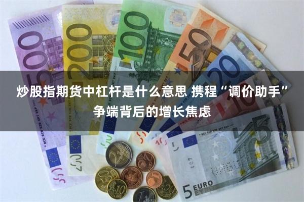 炒股指期货中杠杆是什么意思 携程“调价助手”争端背后的增长焦虑