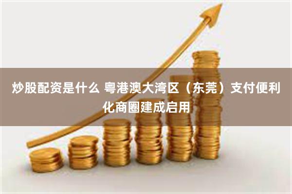炒股配资是什么 粤港澳大湾区（东莞）支付便利化商圈建成启用