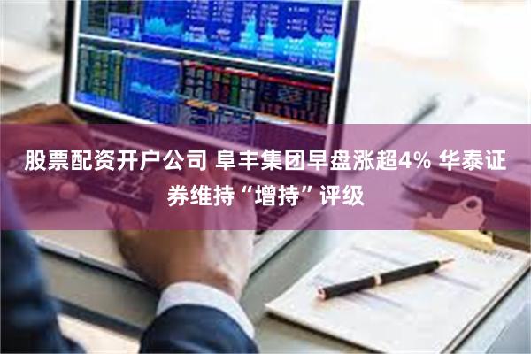 股票配资开户公司 阜丰集团早盘涨超4% 华泰证券维持“增持”评级