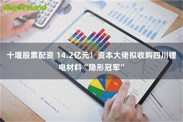 十堰股票配资 14.2亿元！资本大佬拟收购四川锂电材料“隐形冠军”