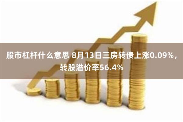股市杠杆什么意思 8月13日三房转债上涨0.09%，转股溢价率56.4%
