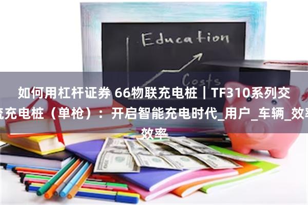 如何用杠杆证券 66物联充电桩｜TF310系列交流充电桩（单枪）：开启智能充电时代_用户_车辆_效率
